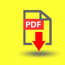 PDFicon